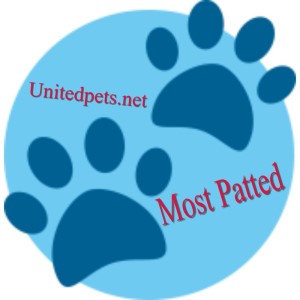 most patted award